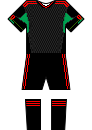 Mexico Away Kit - World Cup 2010