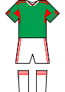 Mexico Home Kit - World Cup 2010