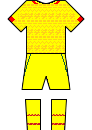 Cameroon Kit - World Cup 2014